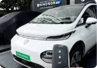 EVs Smash Records in July With 330,000 Units Sold